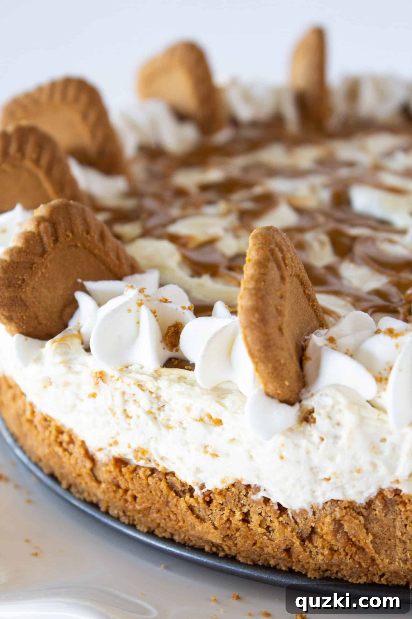 Decadent Cookie Butter No-Bake Cheesecake 13 Decorated Cookie Butter No Bake Cheesecake with whipped topping border and halved Biscoff cookies
