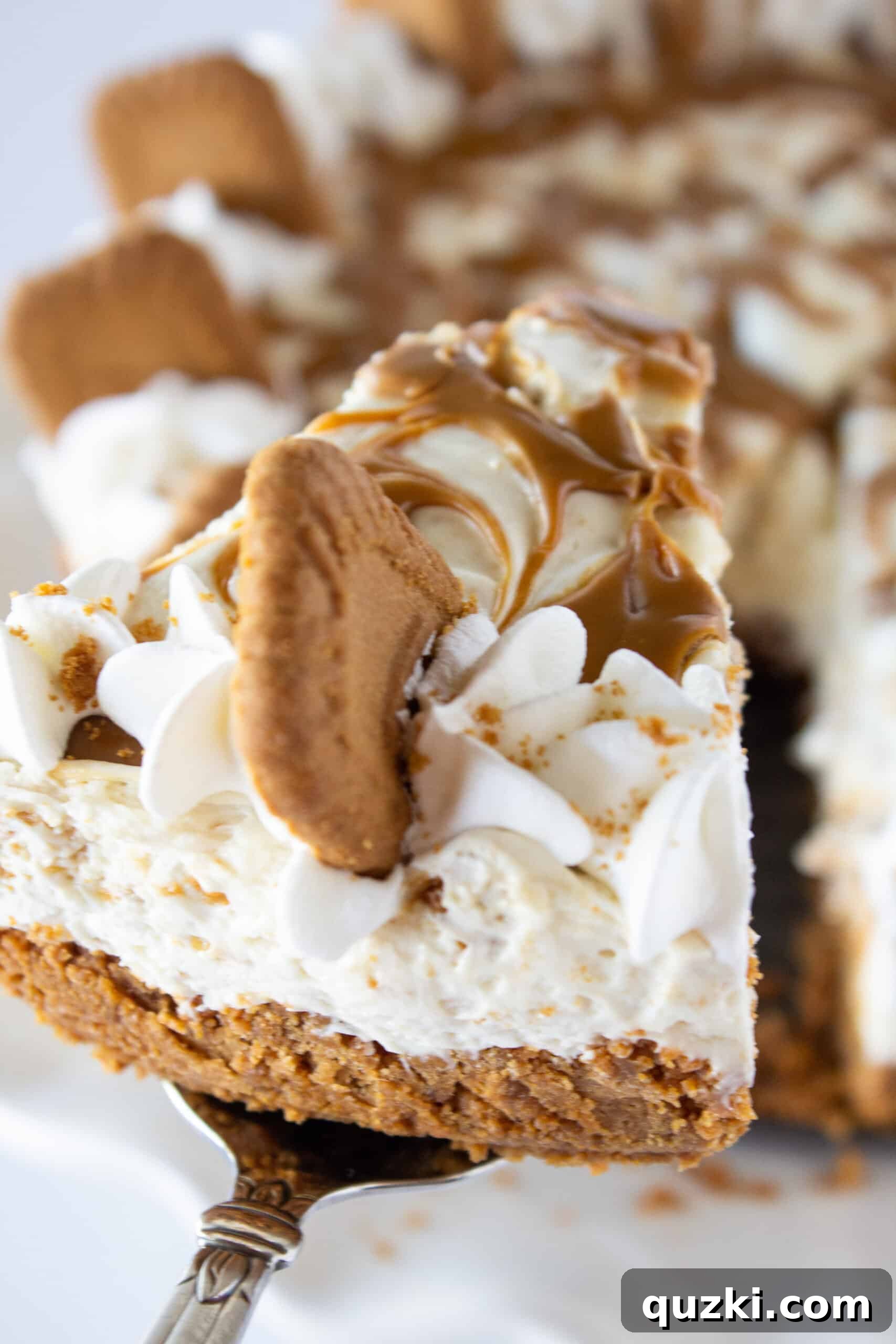 Decadent Cookie Butter No-Bake Cheesecake 14 Close-up of a slice of Cookie Butter No Bake Cheesecake on a plate, showing layers