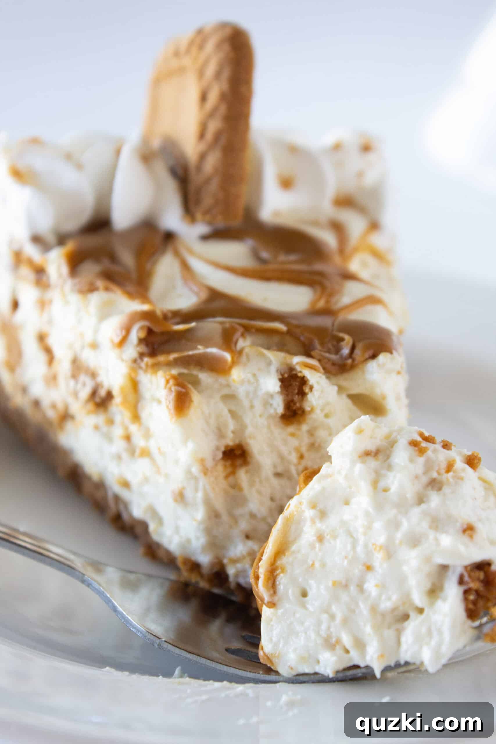 Decadent Cookie Butter No-Bake Cheesecake 15 Full Cookie Butter No Bake Cheesecake, sliced and ready for serving
