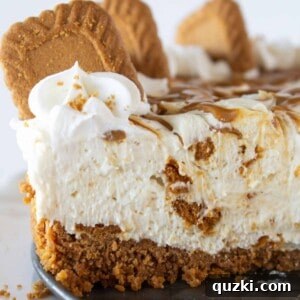 Cookie Butter No Bake Cheesecake