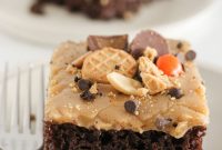 Chocolate Peanut Butter Cake Recipe Using Cake Mix