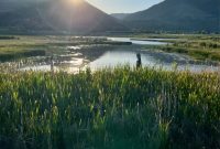 Why Early Morning Walks Transform Your Day