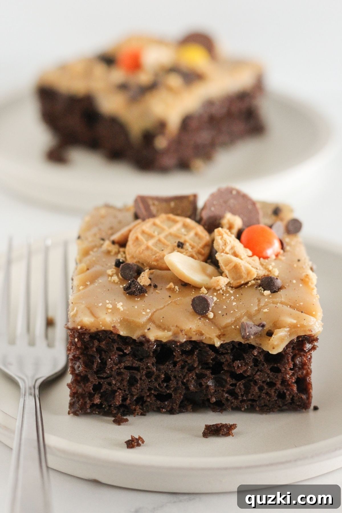 Chocolate Peanut Butter Cake Recipe Using Cake Mix 2 Two pieces of peanut butter chocolate cake on plates.