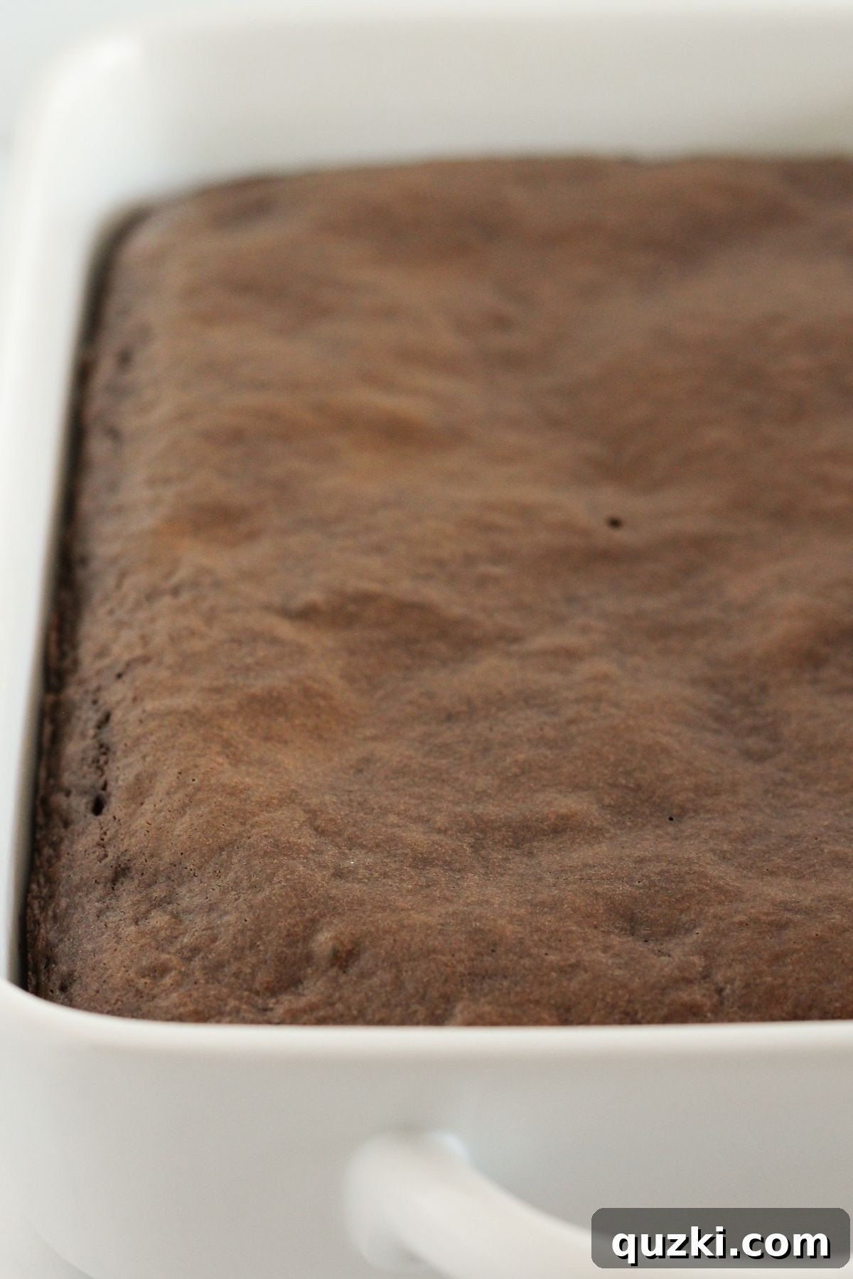 Chocolate Peanut Butter Cake Recipe Using Cake Mix 6 A baked chocolate cake in a pan.