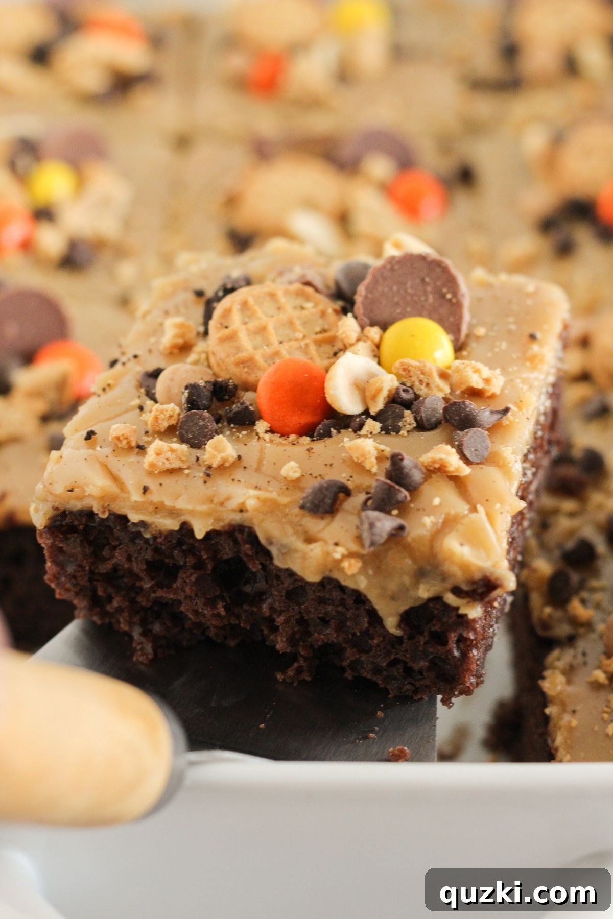 Chocolate Peanut Butter Cake Recipe Using Cake Mix 8 Serving a piece of chocolate peanut butter cake.