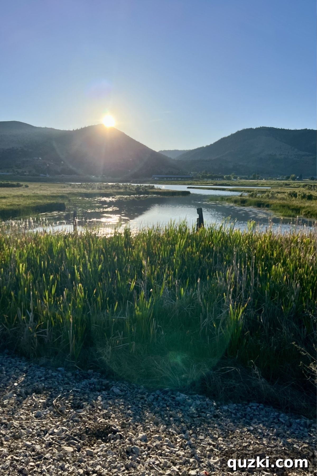 Why Early Morning Walks Transform Your Day 2 An early morning walk with a sunrise.