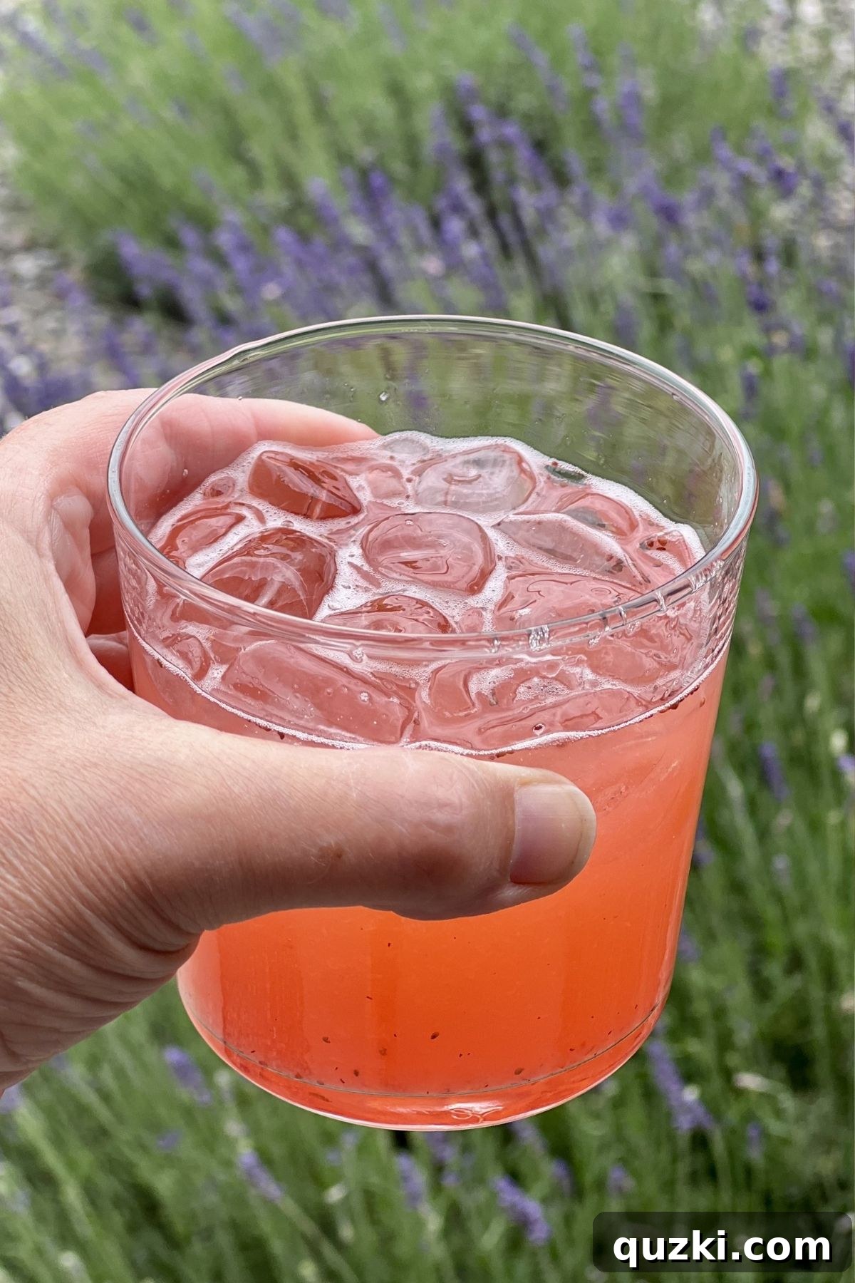 Wide-Open Summer Travel: Sunlit Days and Open Roads 2 Drinking strawberry lemonade in the lavender garden.
