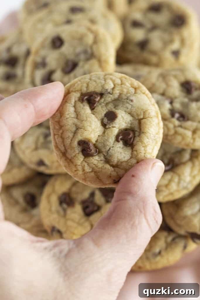 Grabbing a chocolate chip cookie.